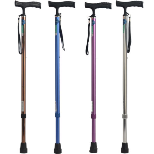 Advanced C02 單腳拐杖 - 啡/藍/紫/銀色