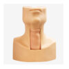 GD 高級環甲膜穿刺及氣管切開插管訓練模型 (GD/J58)