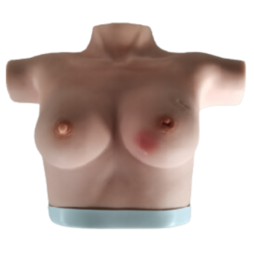 GD 高級乳腺視診與觸診模型 (GD/F7B-HL2406)